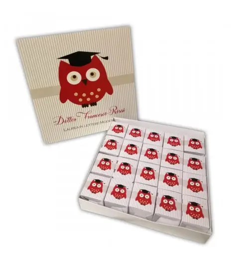 Set scatoline portaconfetti cubetto 20pz con Scatola Box Laurea Gufo - Personalizzabile