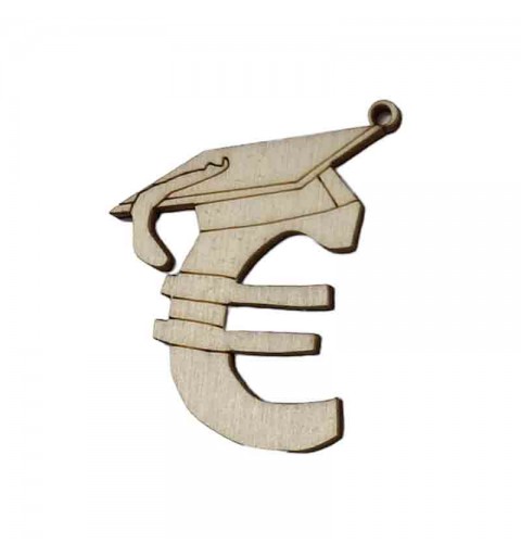 Decorazione Laurea economia euro - 24 PZ