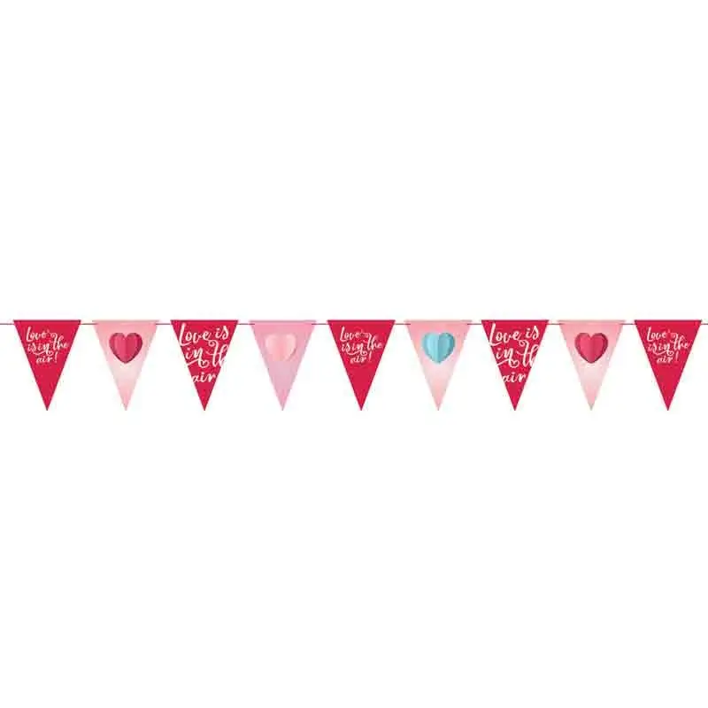 Ghirlanda di bandierine di carta L\'amore è nell\'aria 21x28 cm 270 cm RV-GPFL