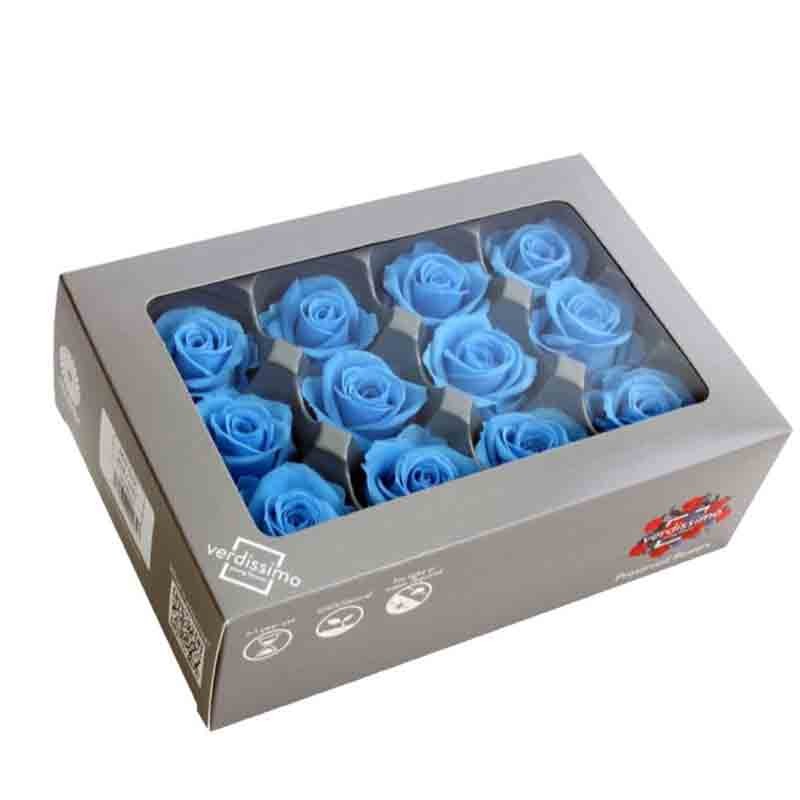 Box 12 pz  rosa mini light blue X Ø 3,5- 4,5 cm V-RSM-1640