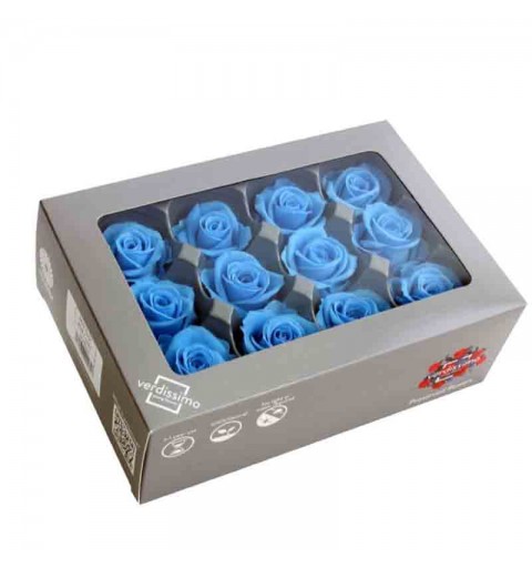 Box 6 pz rosa dark blue Ø 5-5,5 cm V-RST-2630