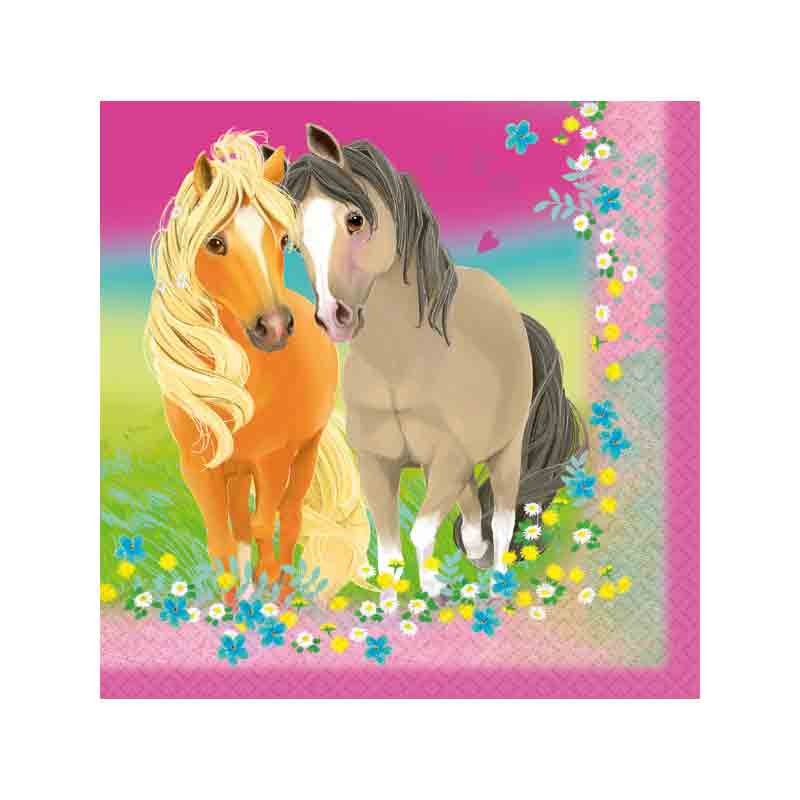 kit compleanno per 40 persone Pretty Pony - cavalli con ghirlanda e bandierine