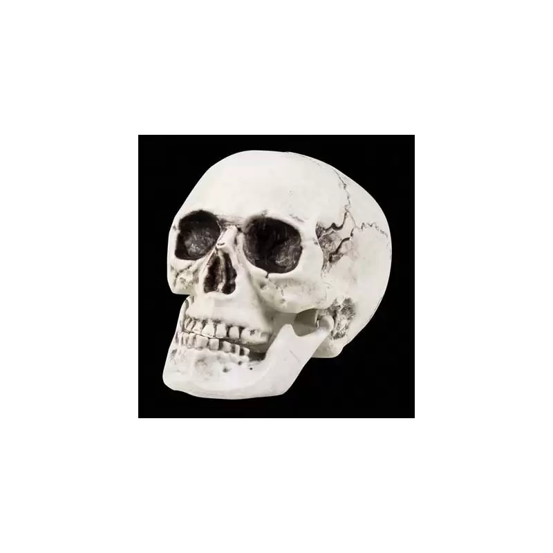 RAGNATELA CON 4 RAGNI FINTI HALLOWEEN 