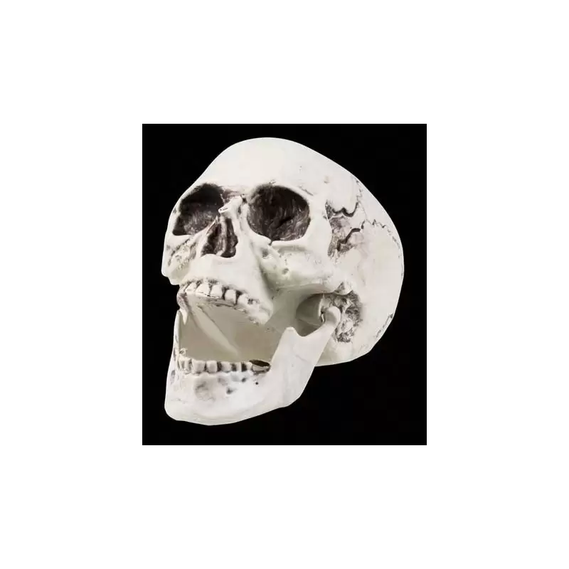 RAGNATELA CON 4 RAGNI FINTI HALLOWEEN 