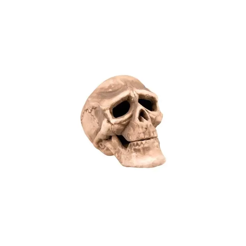 TESCHIO CON MANDIBOLA APRIBILE HALLOWEEN 