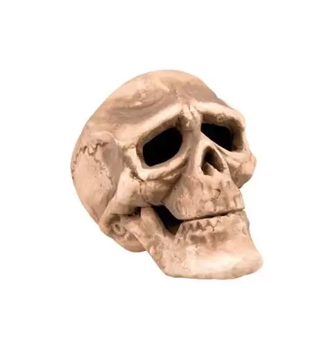 TESCHIO CON MANDIBOLA APRIBILE HALLOWEEN 