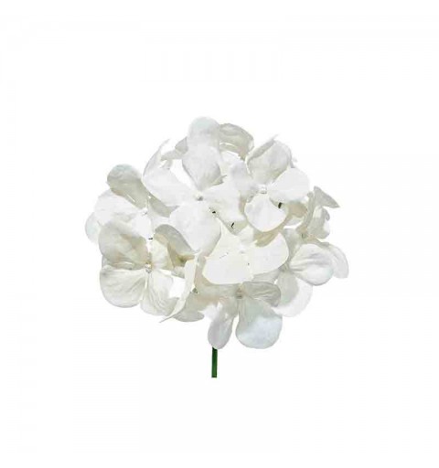 ortensie artificiali Avorio 12 pz. A15640/IV