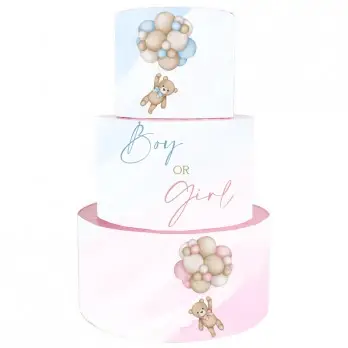Torta Scenografica Teddy Boy or Girl Gender Reveal Party