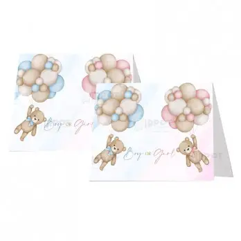 Targhette segnagusto Teddy Boy Or Girl - 9 pz