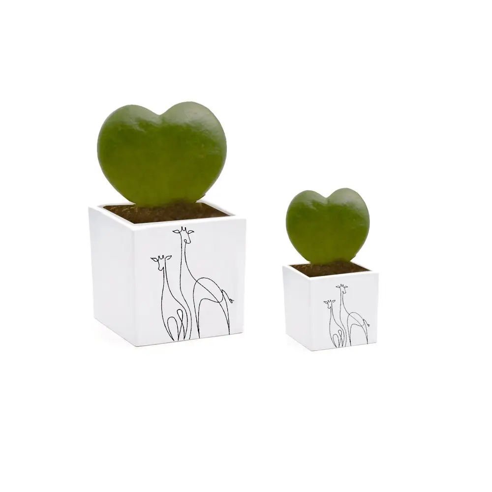 Vaso giraffe personalizzabile