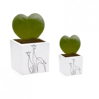Vaso giraffe personalizzabile