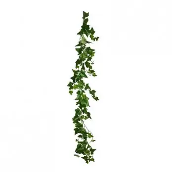 festone edera inglese 170 cm A29655