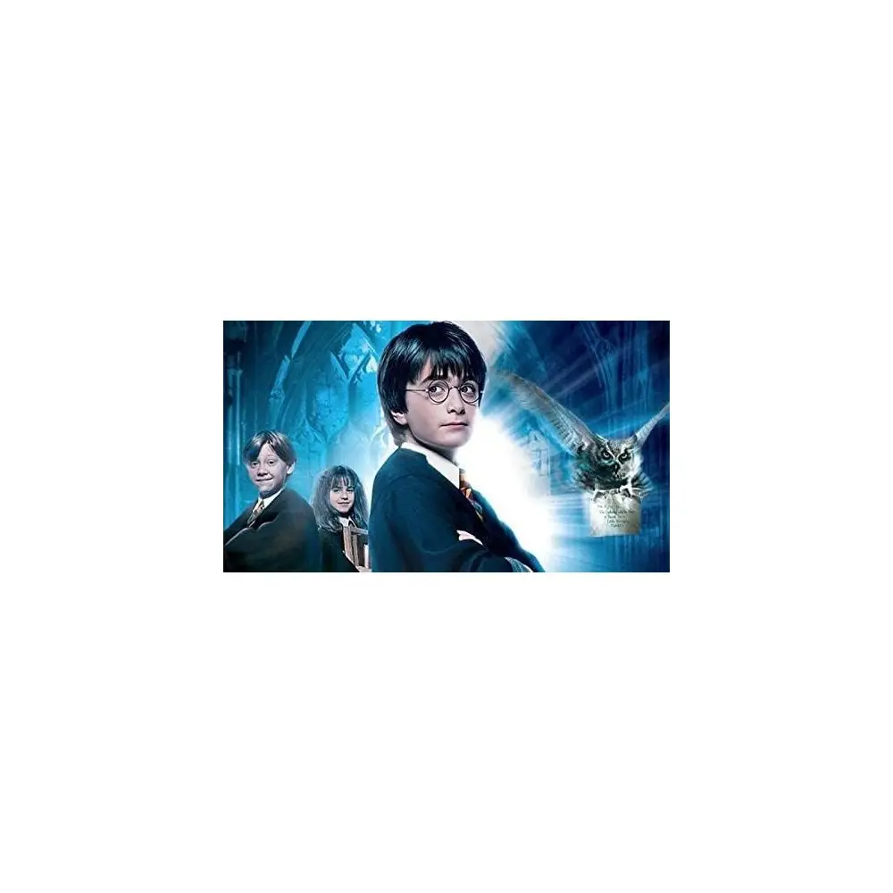 Cialda Harry Potter rettangolare con nome