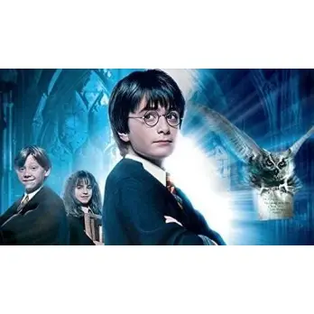 Cialda Harry Potter rettangolare con nome