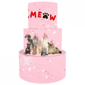 Torta Scenografica Gatti - Meow
