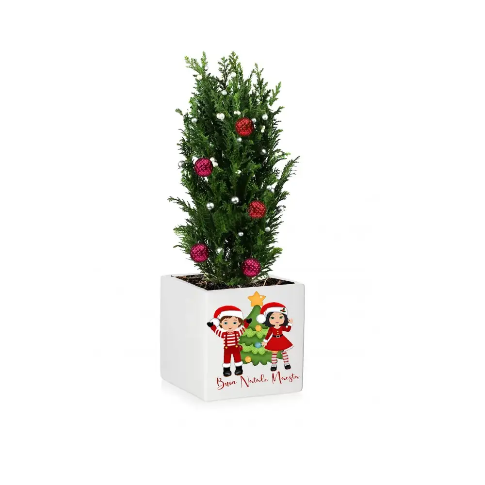 Vasetto Natalizio Personalizzabile " Buon Natale Maestra "