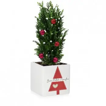 Vasetto Natalizio Personalizzabile " Buon Natale Maestra "