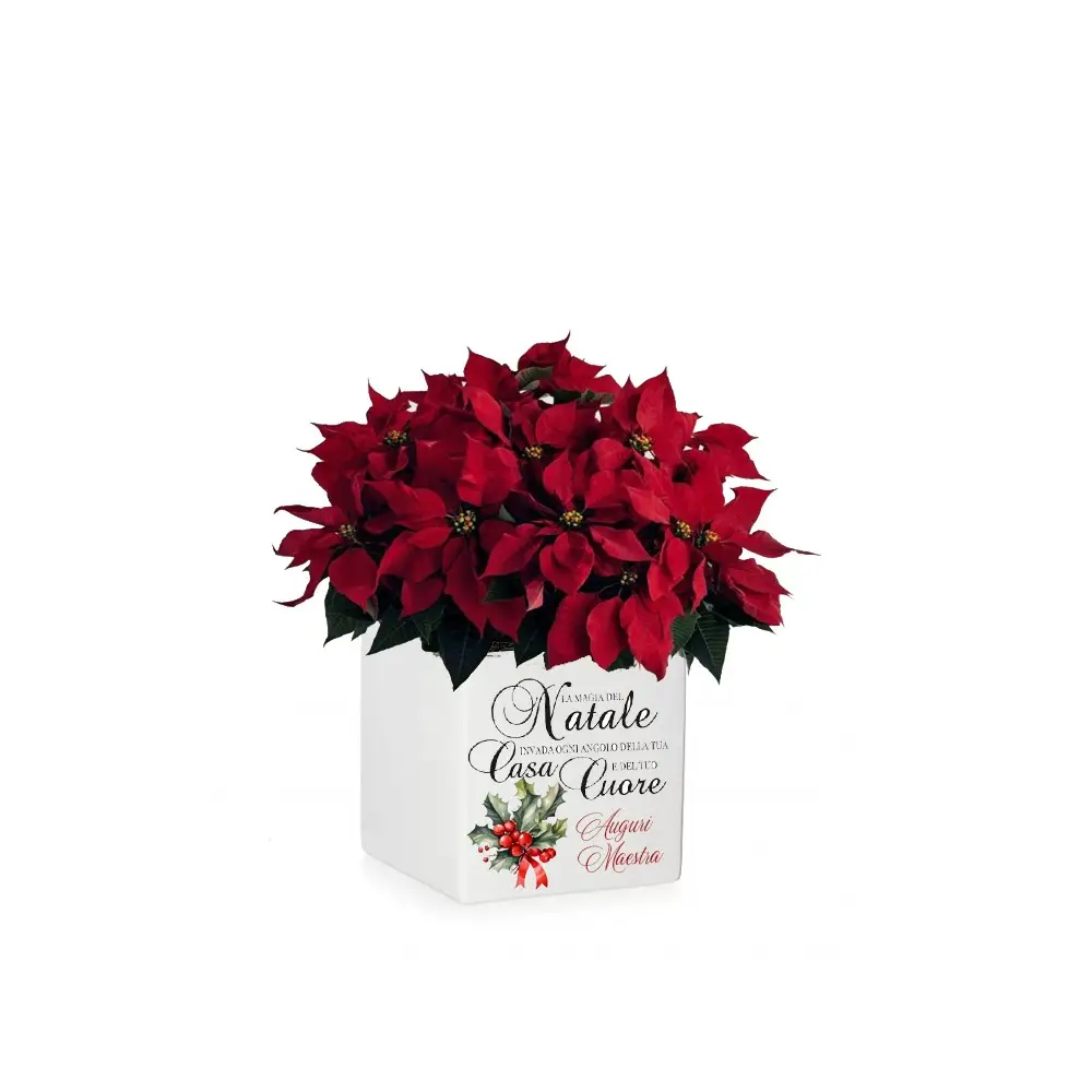 Vasetto Natalizio Personalizzabile " Buon Natale Maestra "