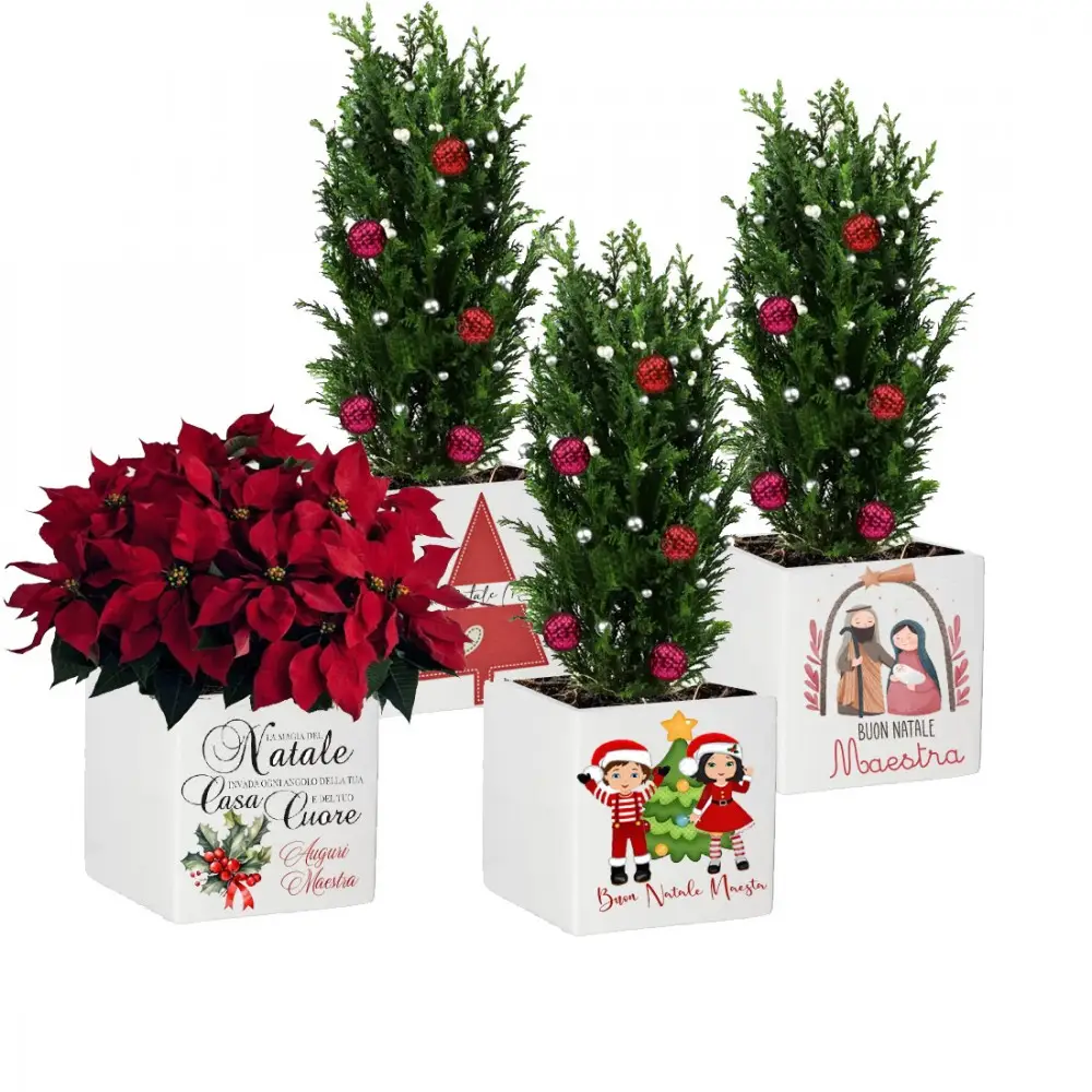 Vasetto Natalizio Personalizzabile " Buon Natale Maestra "