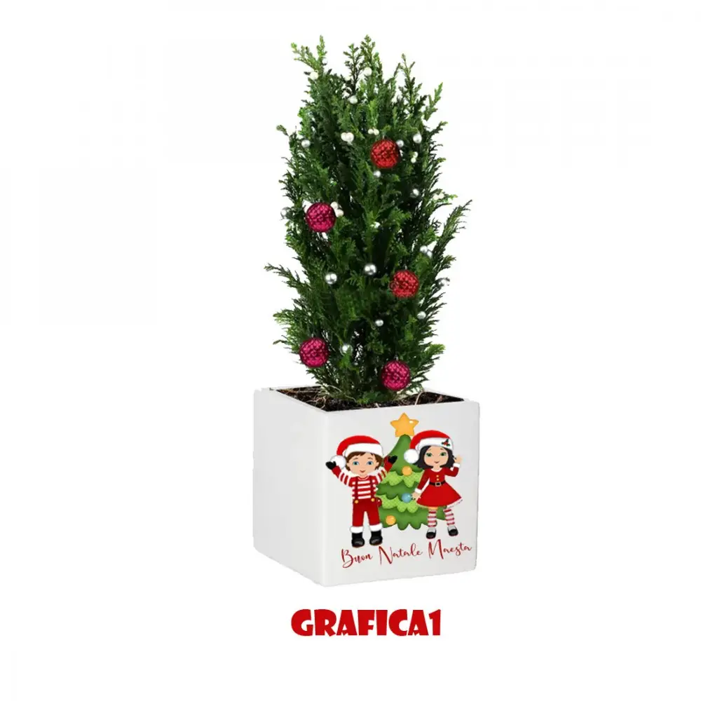 Vasetto Natalizio Personalizzabile " Buon Natale Maestra "
