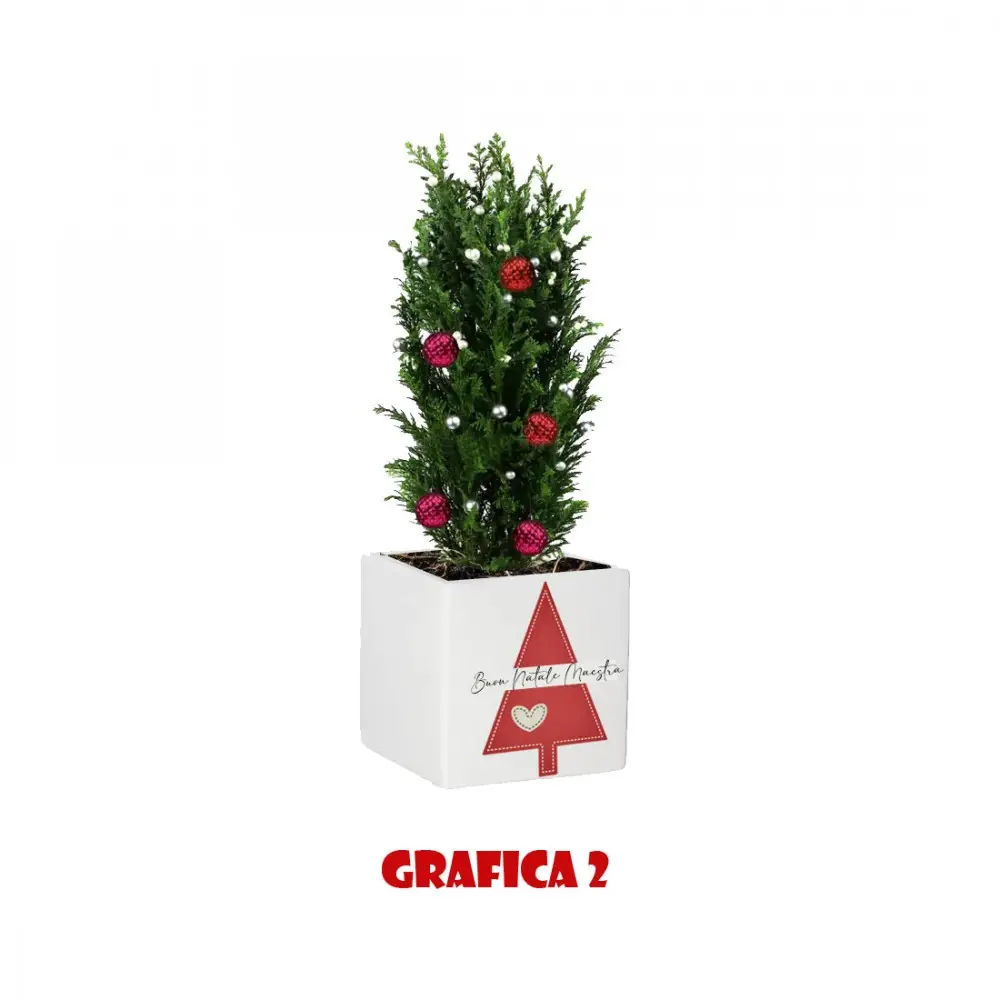 Vasetto Natalizio Personalizzabile " Buon Natale Maestra "