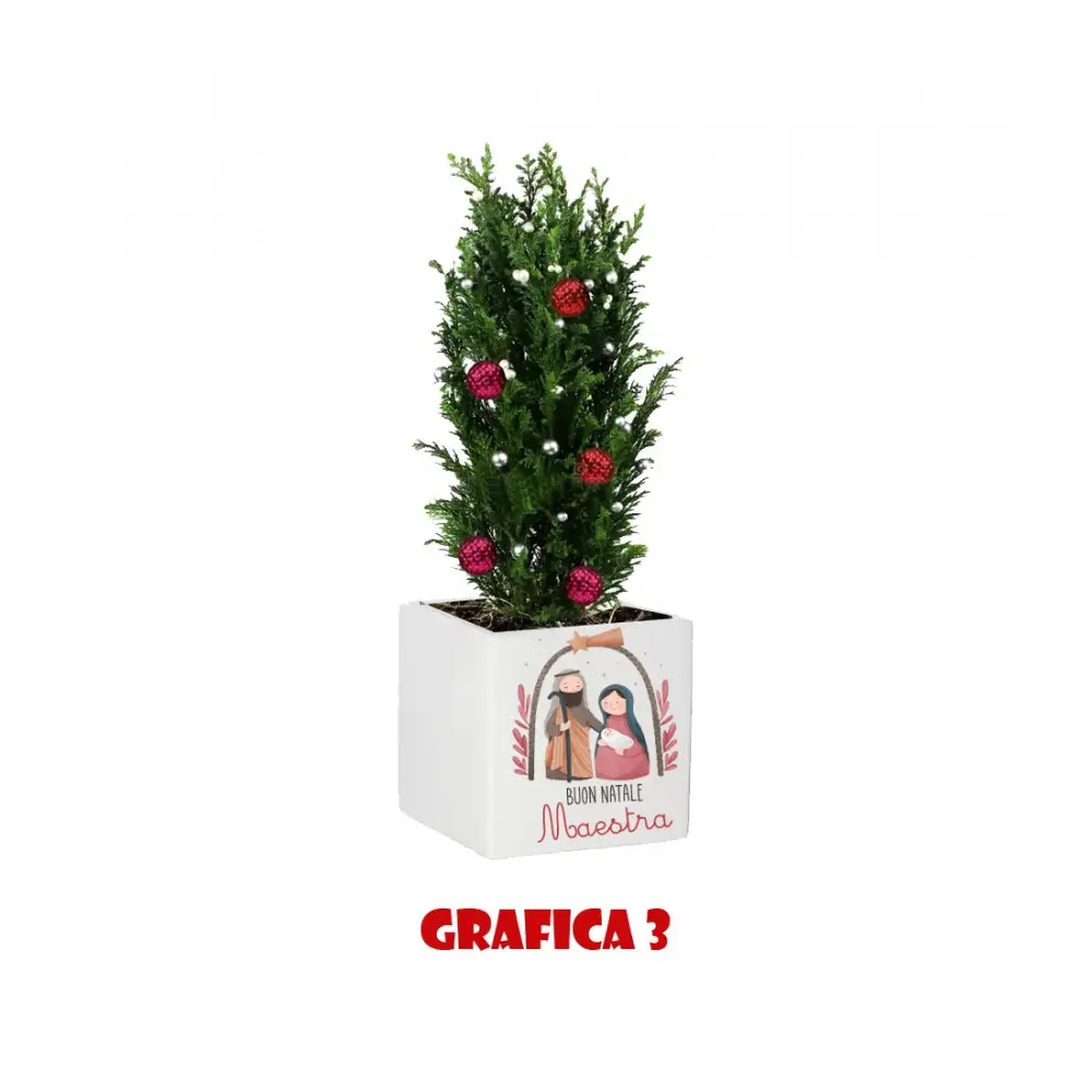 Vasetto Natalizio Personalizzabile " Buon Natale Maestra "