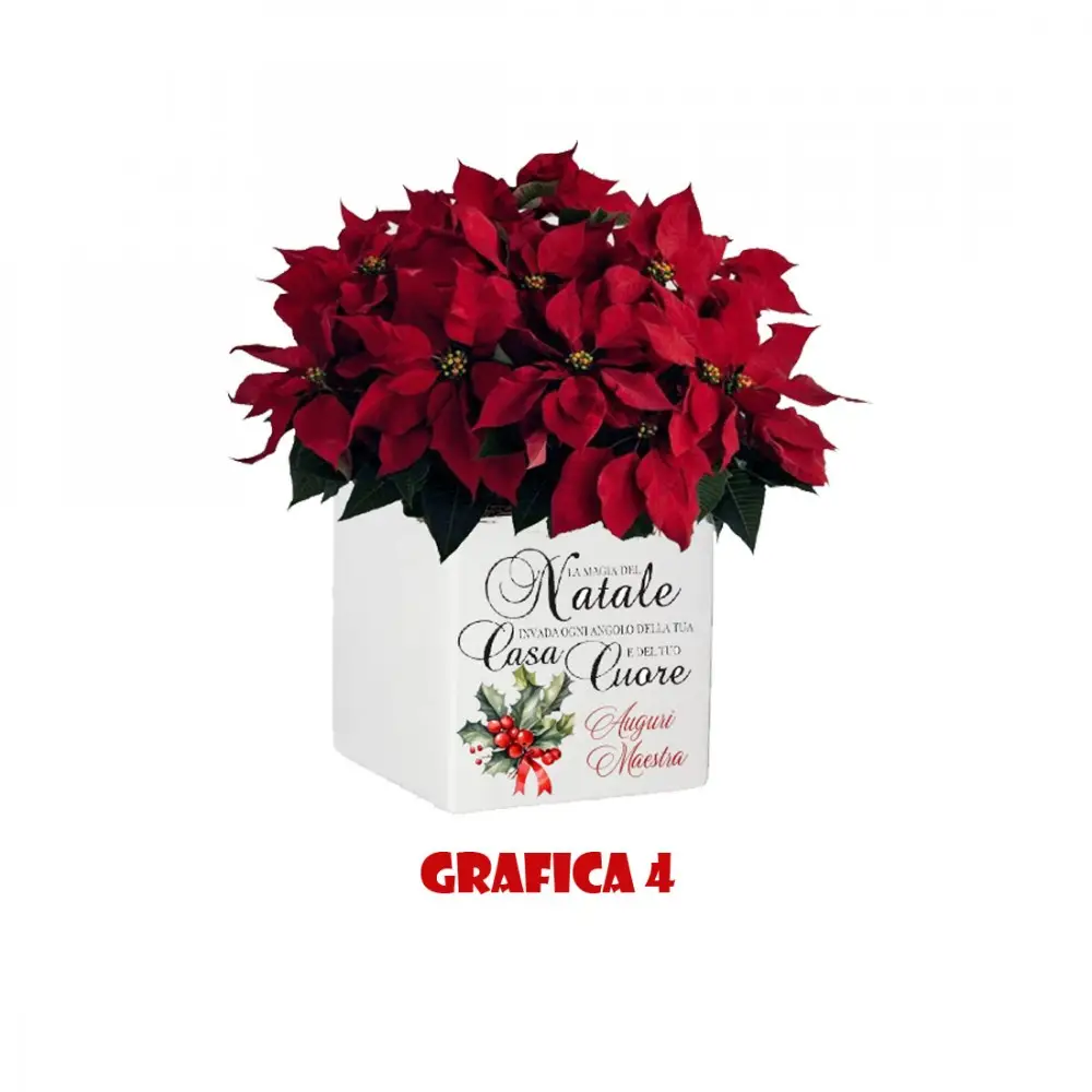 Vasetto Natalizio Personalizzabile " Buon Natale Maestra "