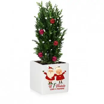 Vasetto Natalizio Personalizzabile " Il mio 1° Natale con i Nonni "