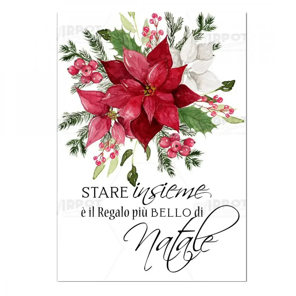 Cartellone di benvenuto Festa Natalizia Stella di Natale