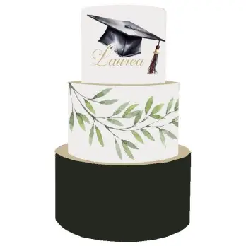 Torta Scenografica per Laurea - Green