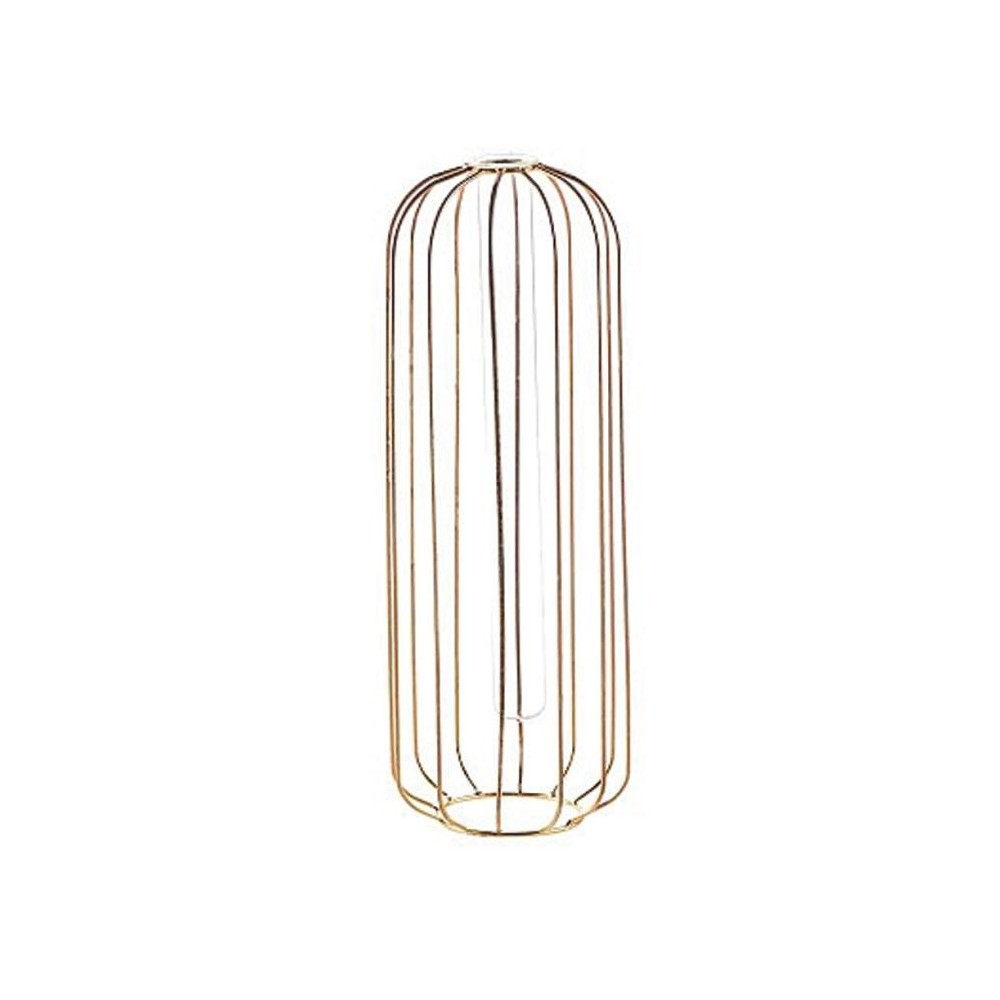 Gabbia Decorativa Portafiori Ovale con Fiala ( 112X12H 30 cm - fiala 3.5 H 8) - ST40/30