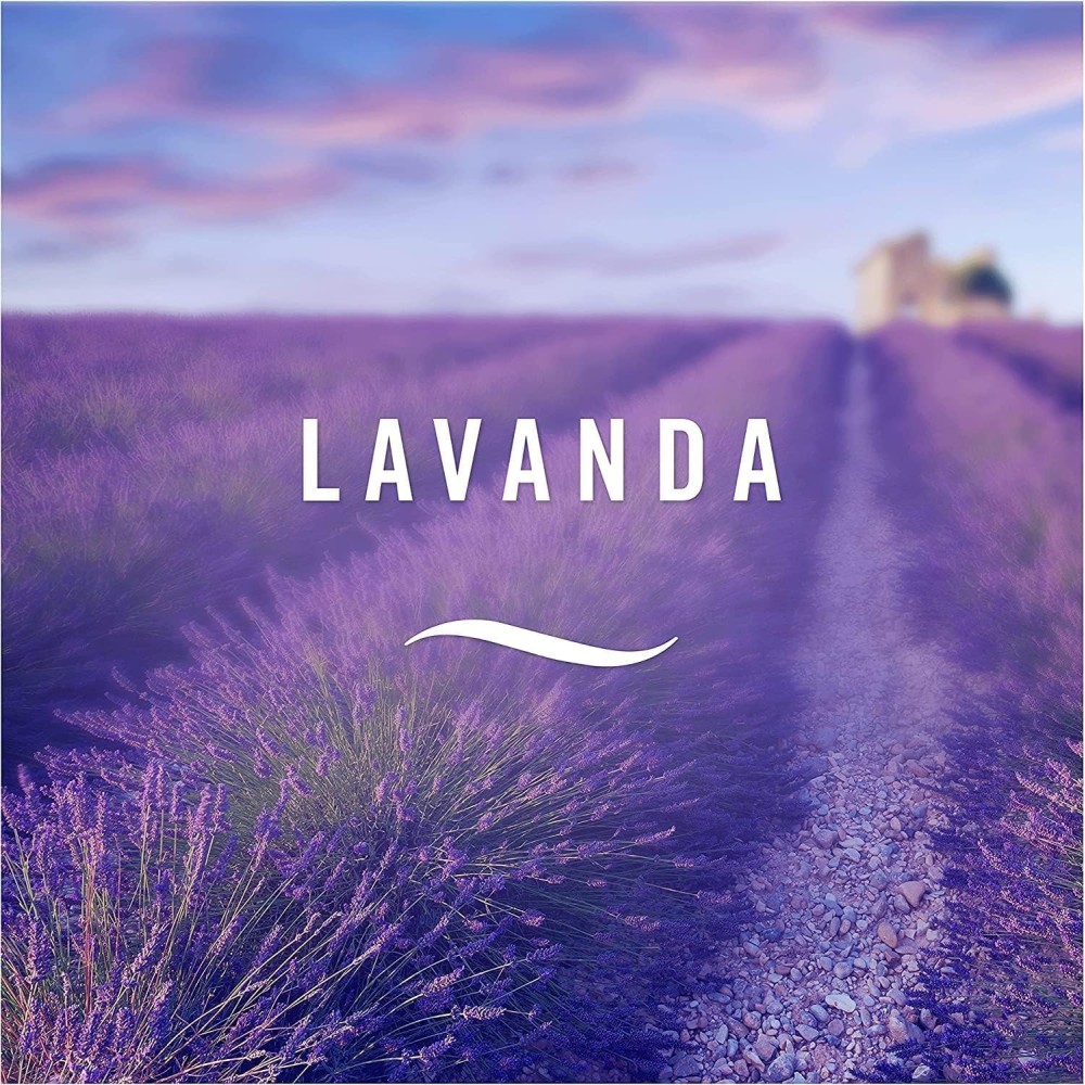 Ambi Pur Bagno Profumatore Per Ambienti alla Lavanda 8 pezzi