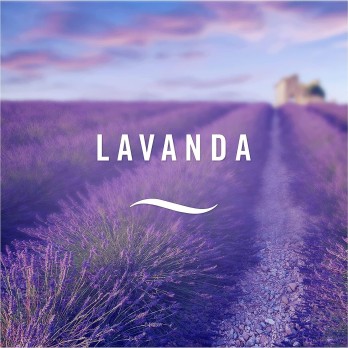 Ambi Pur Bagno Profumatore Per Ambienti alla Lavanda 8 pezzi