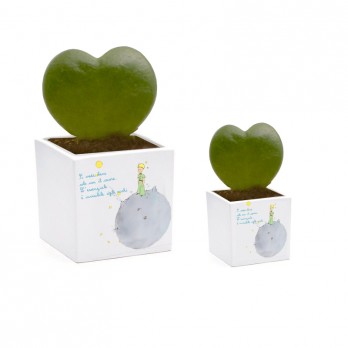 Vaso Piccolo Principe personalizzabile - 6 pz