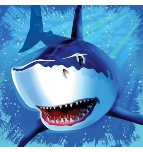 KIT N.13 FESTA  SQUALI  - SHARK SPLASH SQUALO BAMBINI ADULTI