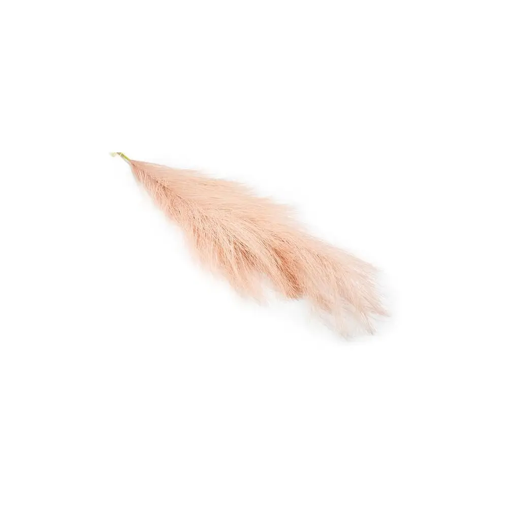 Pampas a ramo h 75 cm rosa antico FB2356 05