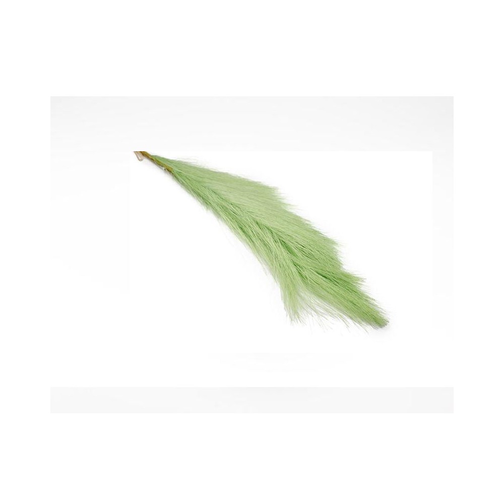Pampas a ramo h 75 cm verde salvia FB2356 20