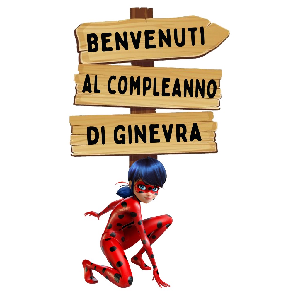 Sagoma in MDF Ladybug con frecce - 85 cm con supporto