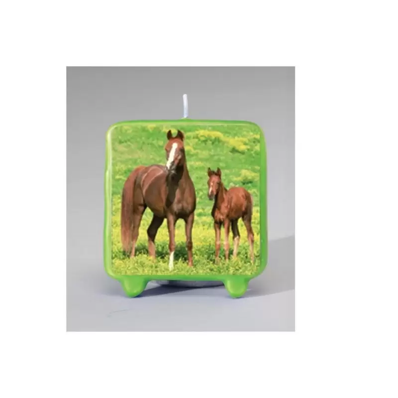  CANDELINA IN CERA TEMA CAVALLI CAKE DESIGN CAVALLO HORSE HORSES COMPLEANNO