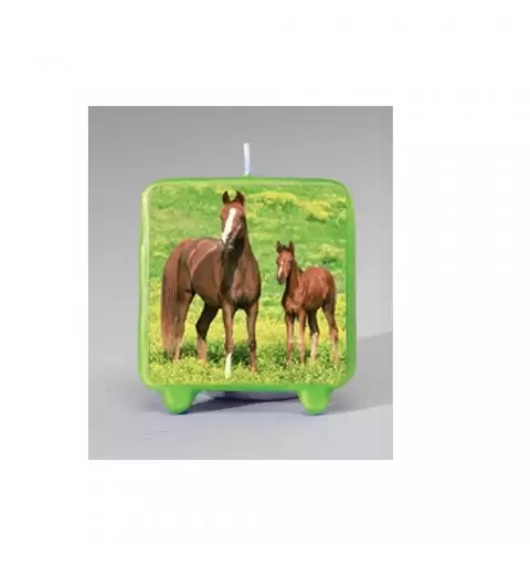  CANDELINA IN CERA TEMA CAVALLI CAKE DESIGN CAVALLO HORSE HORSES COMPLEANNO