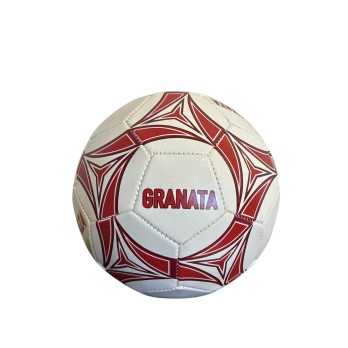 Pallone Granata Salernitana e tazza