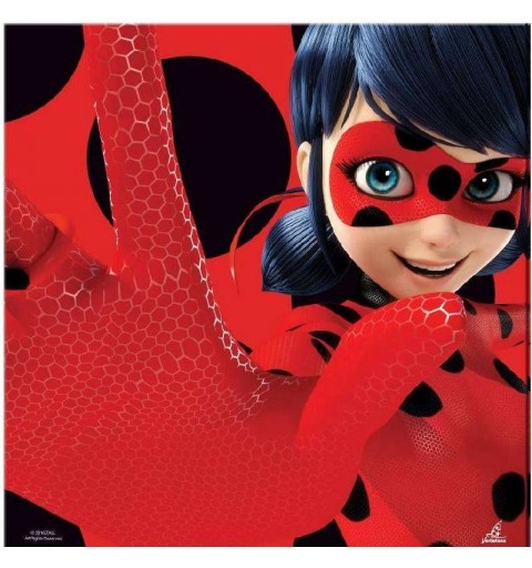KIT N.29 LADYBUG – SET TAVOLA PER FESTE