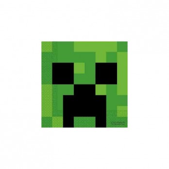 Kit 16 persone Minecraft