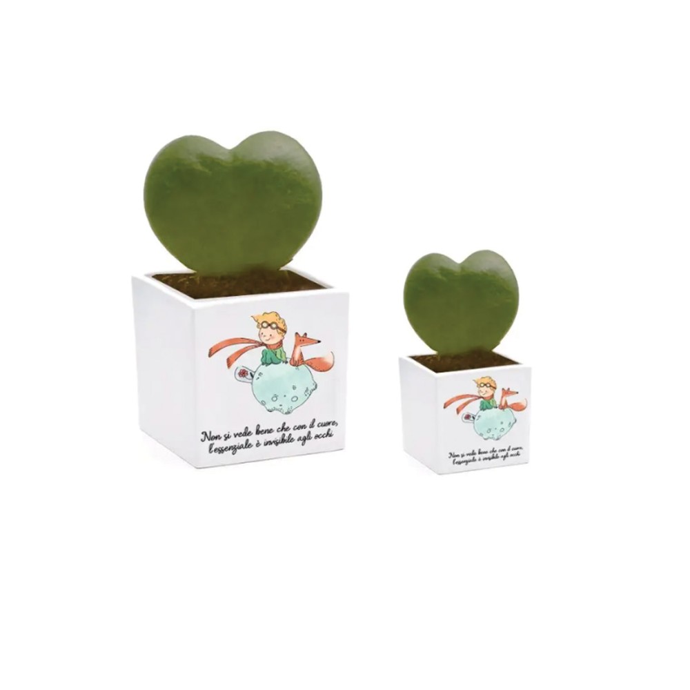 3 Vasetti  cubo personalizzabile 7 cm