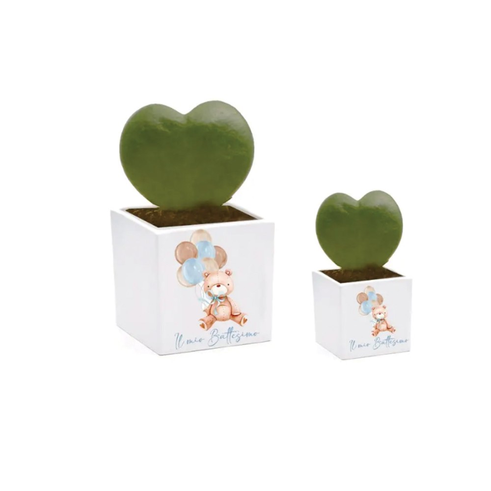 3 Vasetti  cubo personalizzabile 7 cm
