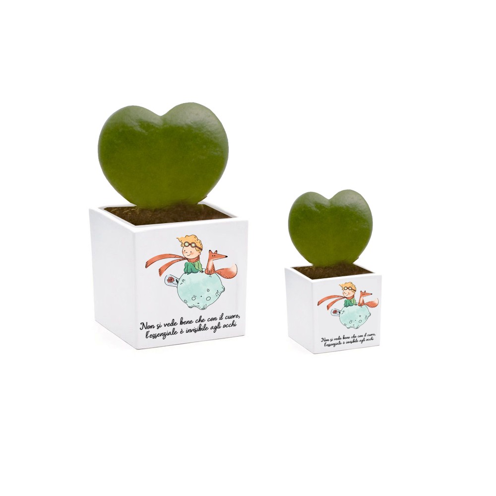 3 Vasi Piccolo Principe new personalizzabile 7 cm