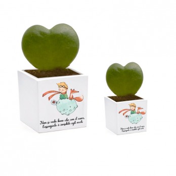 3 Vasi Piccolo Principe new personalizzabile 7 cm