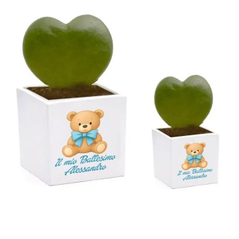 Vaso cubo Orsetto fiocco celeste personalizzabile - 6 pz