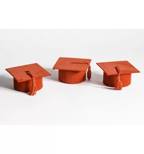 10 TOCCHI PORTACONFETTI ROSSI LAUREA BSJ1306