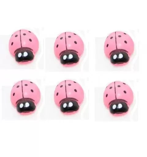 COCCINELLE ADESIVE LEGNO rosa 144 PZ.